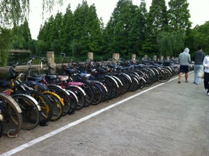 Bikes of Shanghai University
