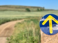 Beauty of the Camino