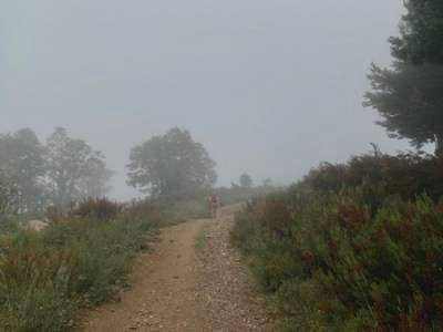 Painting with Clouds